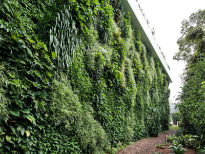 wall gardens Sydney